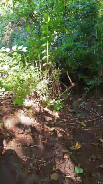 Loverber  14-09-2021 Recorded Video Topless